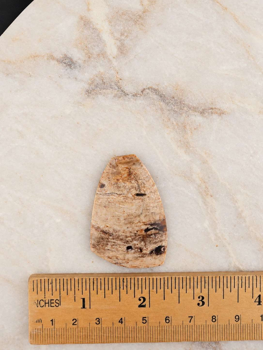 Petrified Wood Freeform Cabochon, width