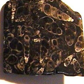 Turritella agate representative material for a custom necklace or cabochon
